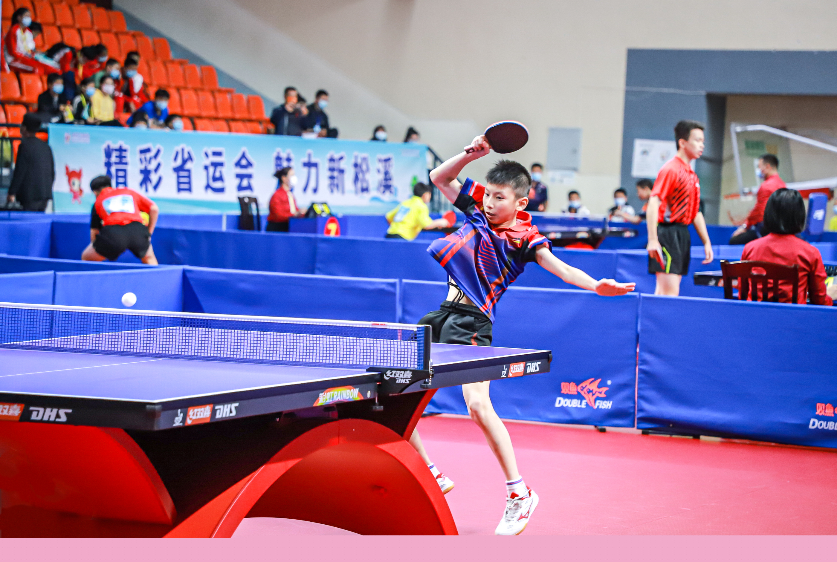 证明了国羽 证明了国羽