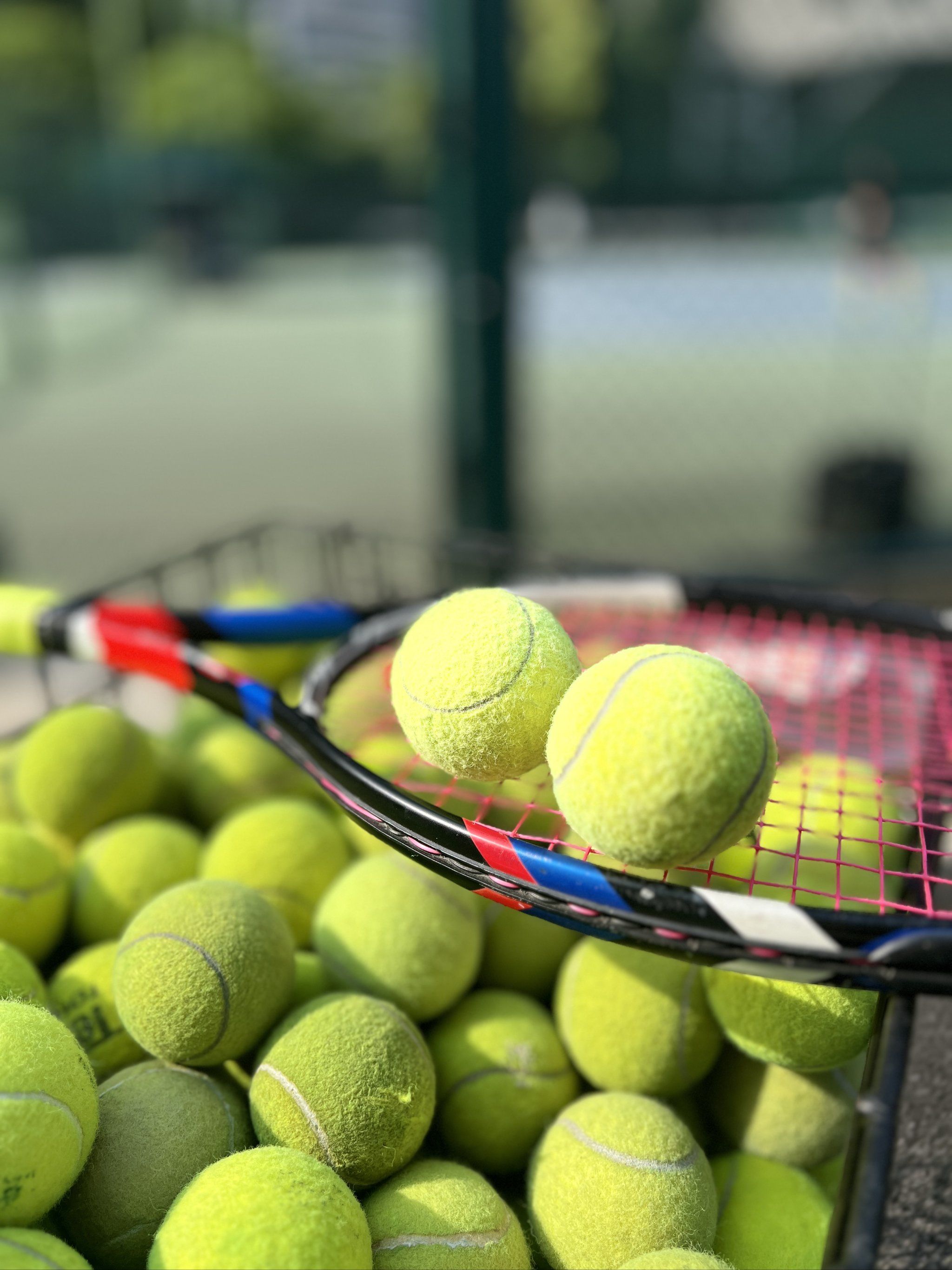 詹姆斯承担 詹姆斯承担