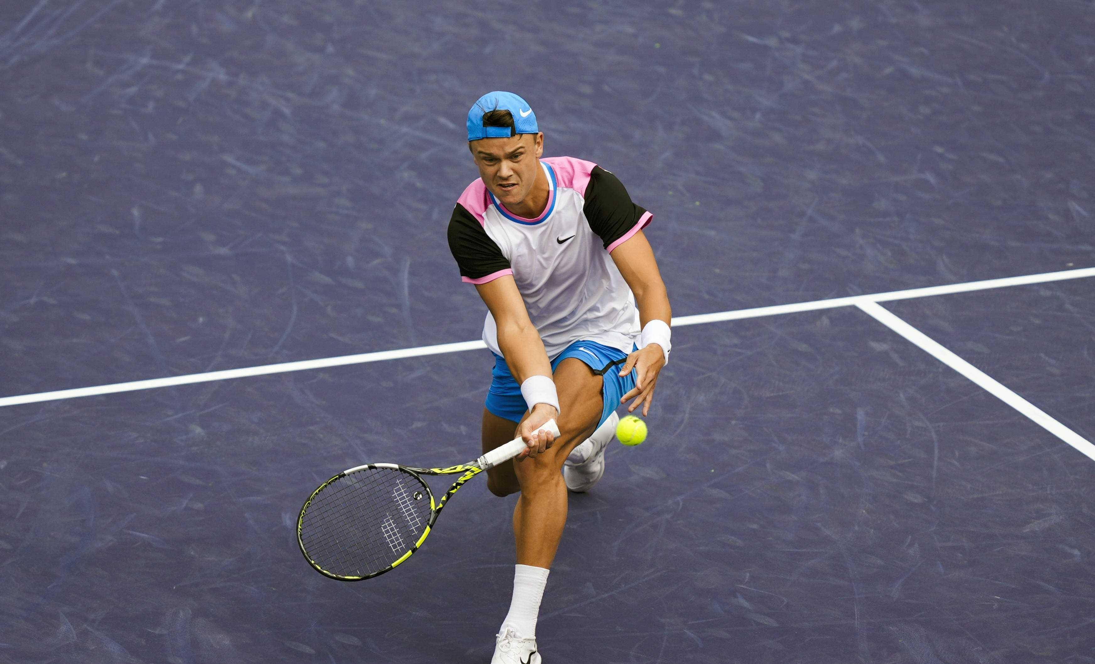 不仅展示了 不仅展示了